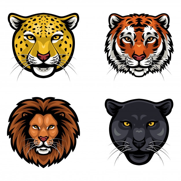 626x626 Collection Of Wild Animals Face Vector Vector Premium Download
