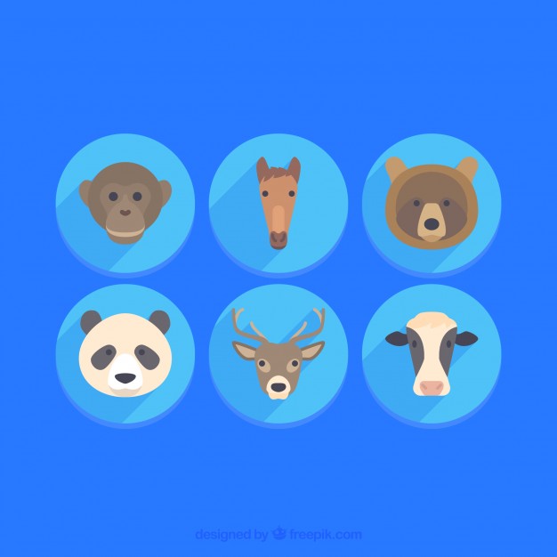 626x626 Animal Face Collection Vector Free Download