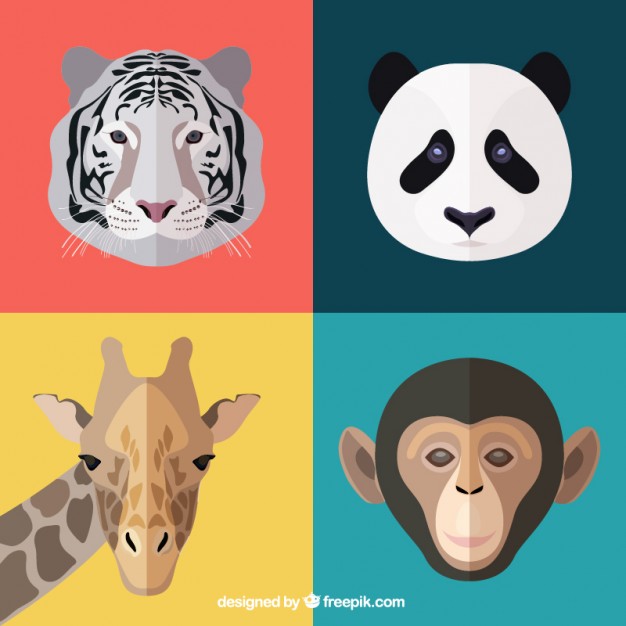 626x626 Animal Faces Vector Free Download