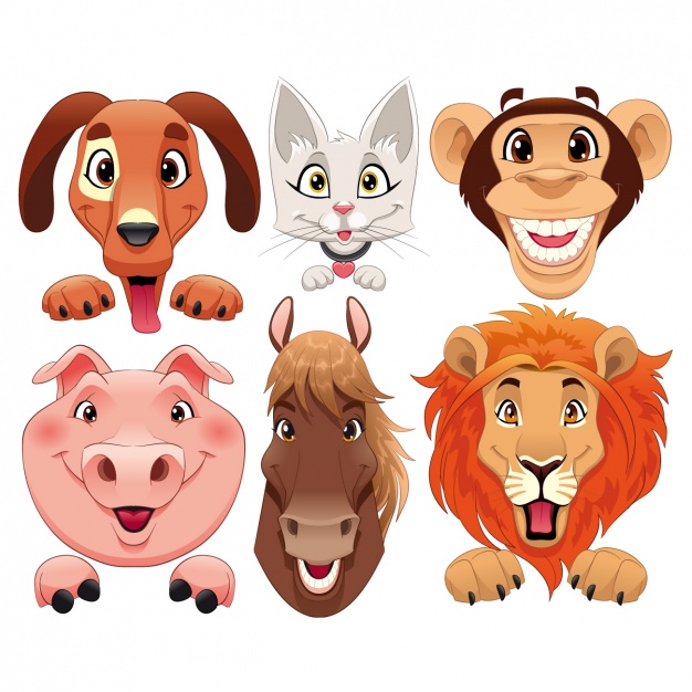626x626 Animal Faces Collection Vector Free Download