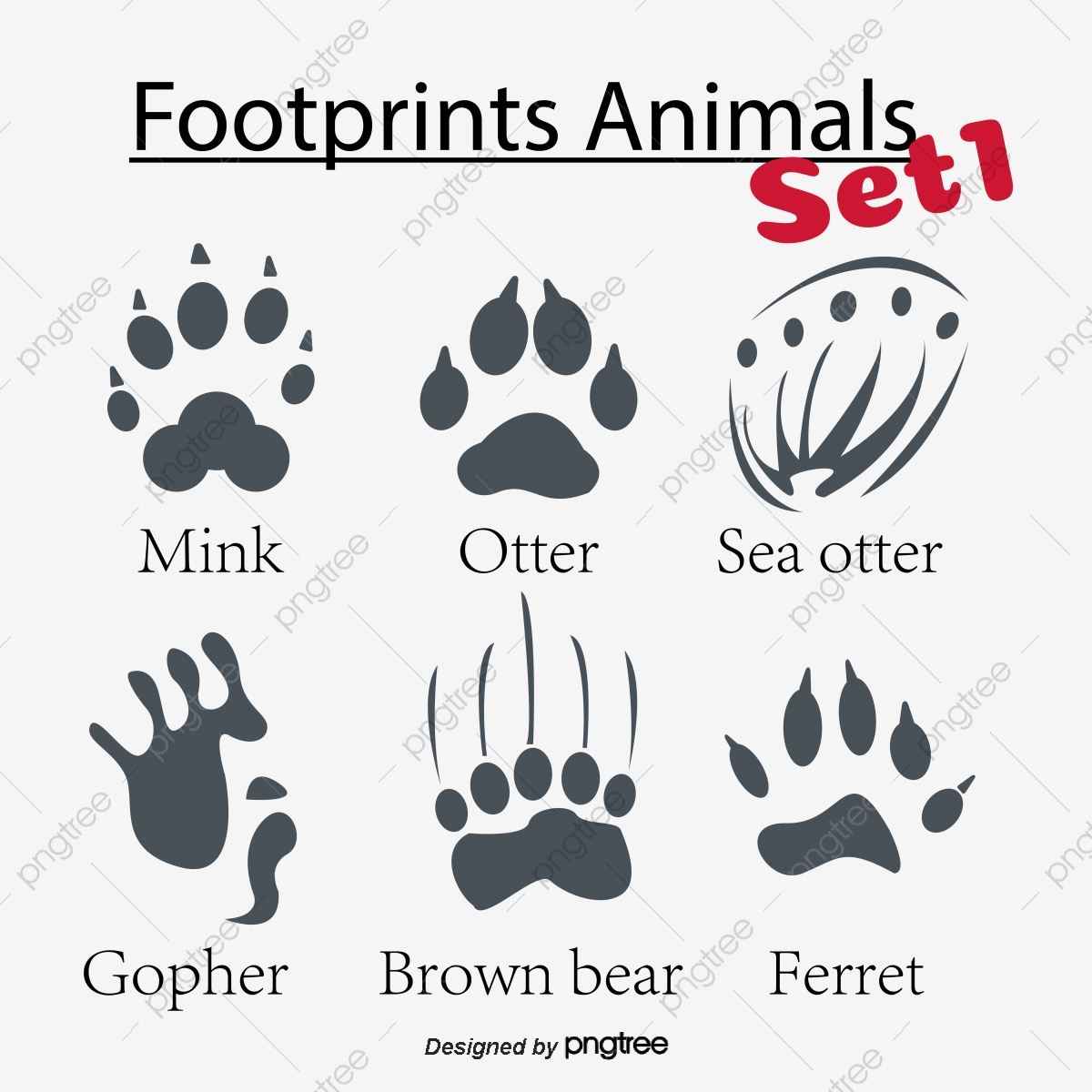Animal Footprints Vector