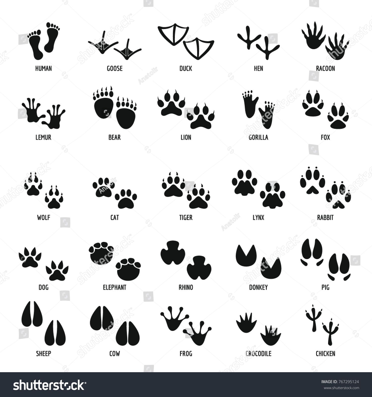 Animal Footprint Icons Set Simple Illustration Of Animal 1500x1600 Animal Footprint Icons Set Simple Illustration Of Animal