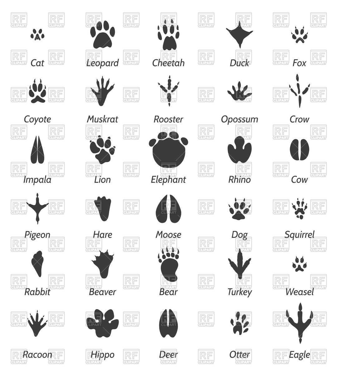 Animal Tracks And Bird Footprints Vector Image Of Icons 1080x1200 Animal Tracks And Bird Footprints Vector Image Of Icons