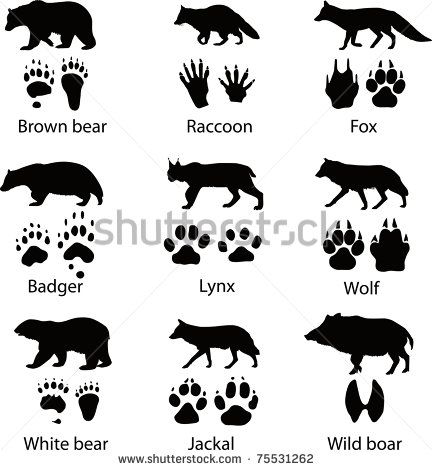Animals And Its Tracks Vector Illustration Appilque Animal 432x470 Animals And Its Tracks Vector Illustration Appilque Animal