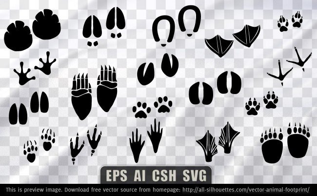 Free Vector Animal Footprint Files, Vectors Graphics 650x402 Free Vector Animal Footprint Files, Vectors Graphics