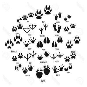 Photostock Vector Simple Illustration Of Animal Footprint Vector 300x300 Photostock Vector Simple Illustration Of Animal Footprint Vector