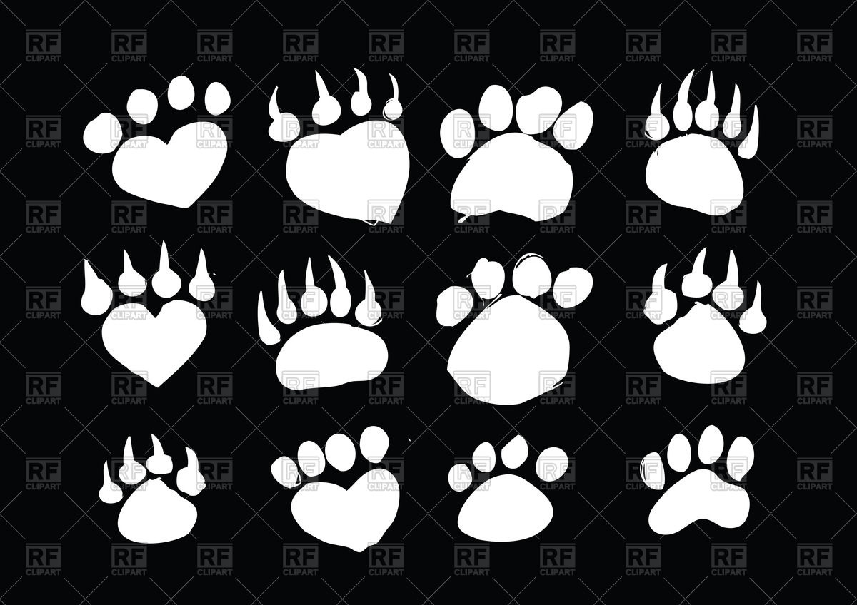 Silhouettes Of Animal Footprints Vector Image Of Plants 1200x848 Silhouettes Of Animal Footprints Vector Image Of Plants