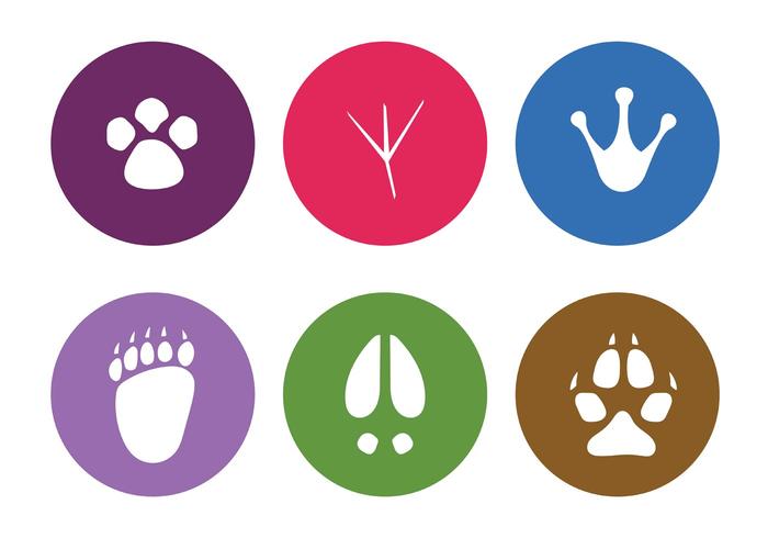 Vector Animal Footprints 700x490 Vector Animal Footprints
