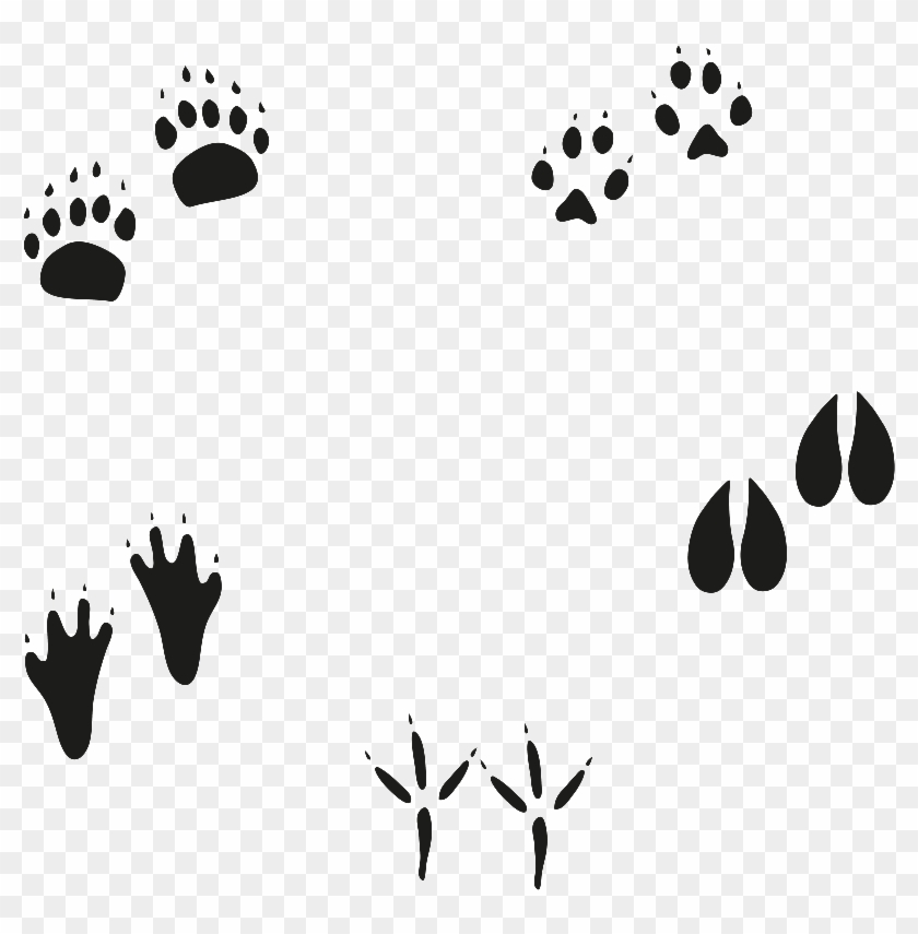 Vector Animal Paw 840x855 Vector Animal Paw