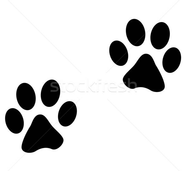 Vector Animal Footprints Vector Illustration Francois Poirier 600x550 Vector Animal Footprints Vector Illustration Francois Poirier