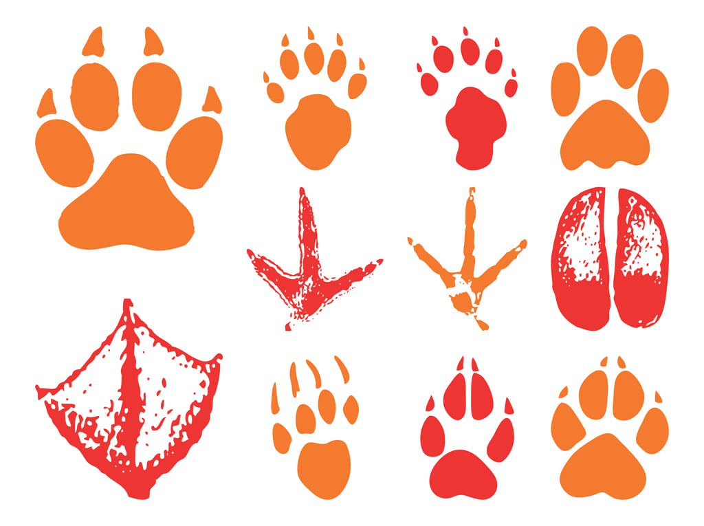 Animal Footprints Vector Art Graphics 1024x765 Animal Footprints Vector Art Graphics