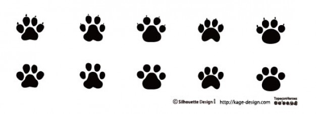 Animal Footprints Vectors, Photos And Free Download 626x227 Animal Footprints Vectors, Photos And Free Download