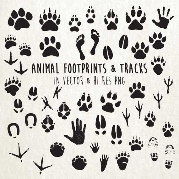 Animal Tracks Clipart Animal Paw Print Clipart Animal Etsy 570x570 Animal Tracks Clipart Animal Paw Print Clipart Animal Etsy