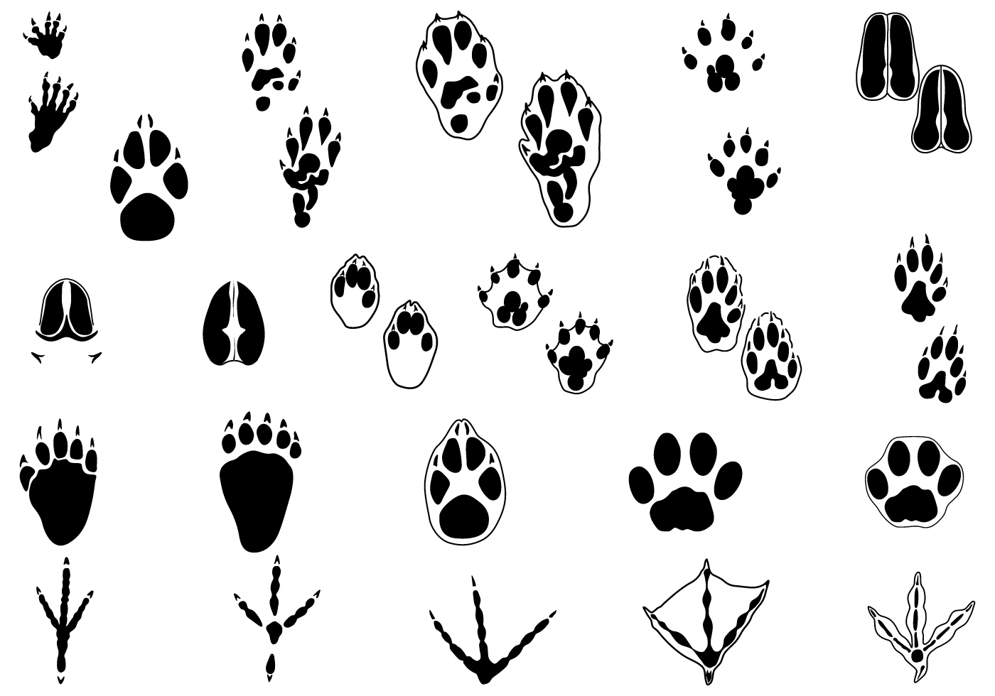 Animal Tracks Vector Pack Two 1400x980 Animal Tracks Vector Pack Two