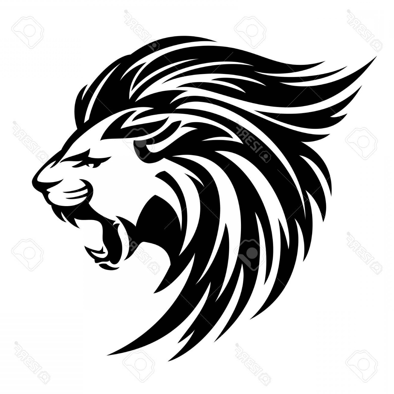 Photostock Vector Roaring Lion Profile Portrait Side View Animal 1560x1560 Photostock Vector Roaring Lion Profile Portrait Side View Animal