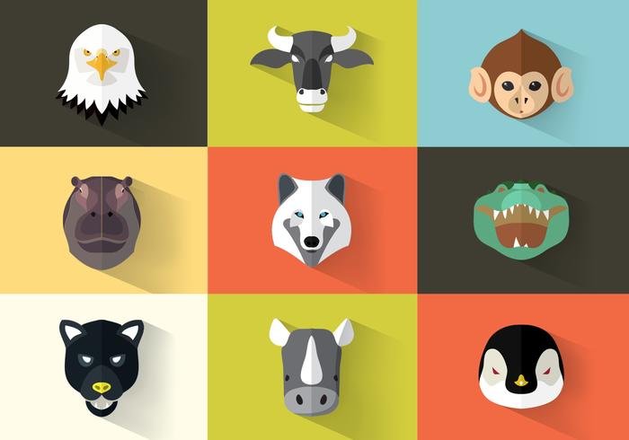 700x490 Square Flat Animal Icon Pack Vector