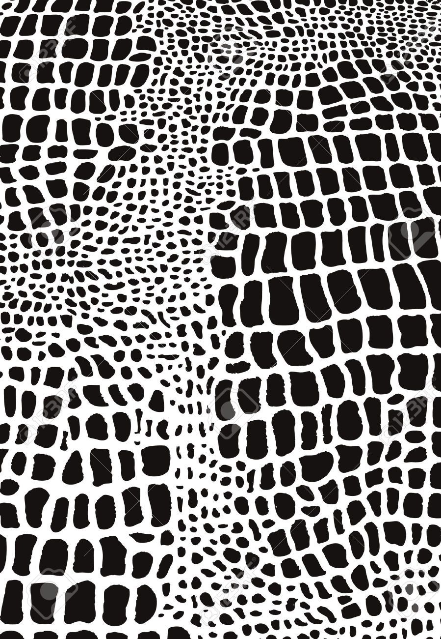 Free Animal Skin Vector Patterns 899x1300 Free Animal Skin Vector Patterns