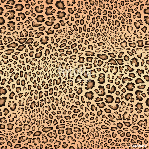 Leopard Skin Pattern Vector Seamless Texture Animal Print 500x500 Leopard Skin Pattern Vector Seamless Texture Animal Print