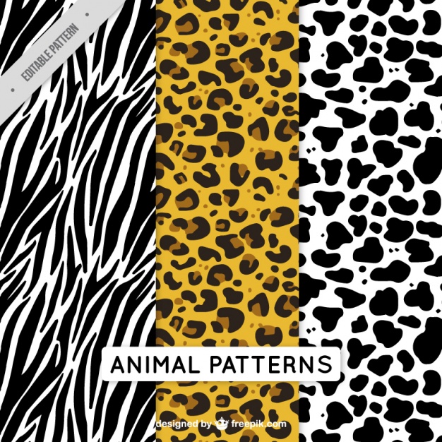 Pack Of Decorative Animal Patterns Vector Free Download 626x626 Pack Of Decorative Animal Patterns Vector Free Download