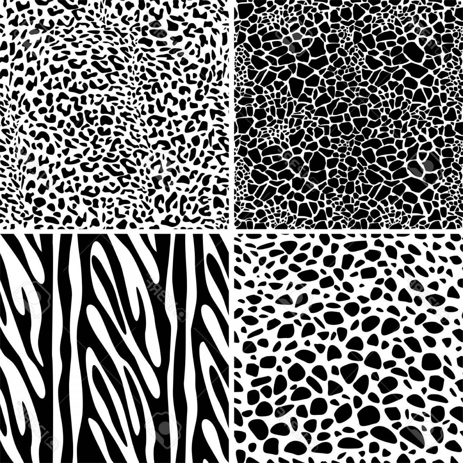 Photostock Vector Animal Print Set Seamless Pattern Giraffe 1560x1560 Photostock Vector Animal Print Set Seamless Pattern Giraffe