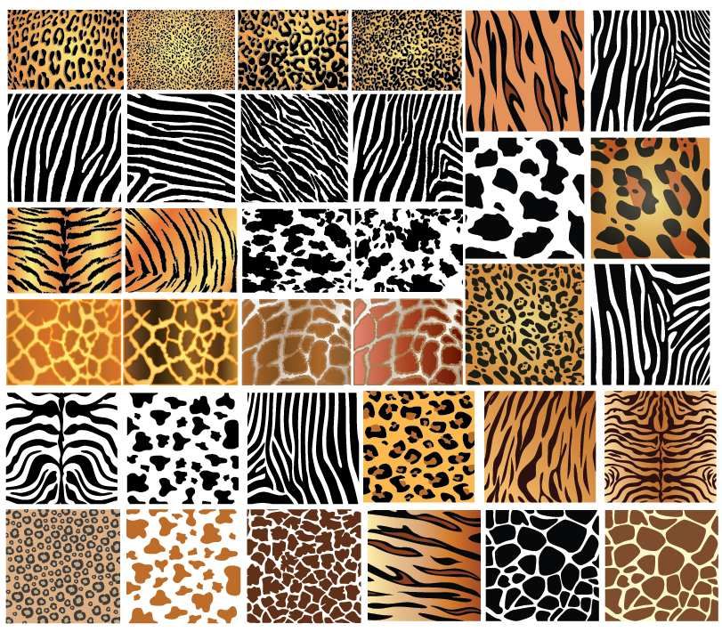 Kresby In Stuffed Animal Patterns 811x710 Kresby In Stuffed Animal Patterns