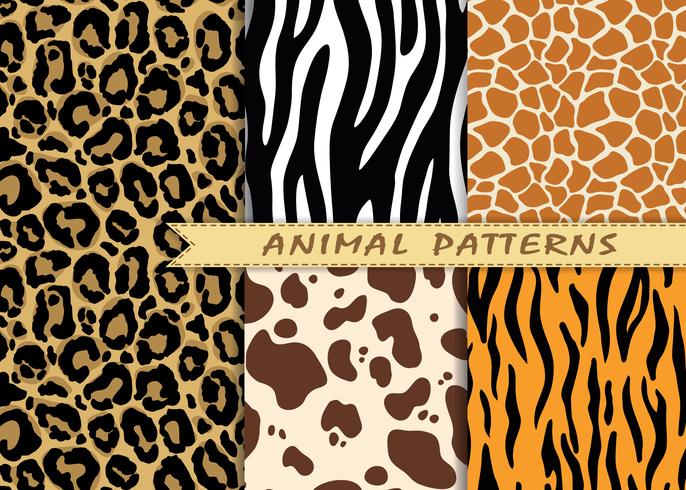 Vector Seamless Patterns Set With Animal Skin Texture Repeating 686x490 Vector Seamless Patterns Set With Animal Skin Texture Repeating