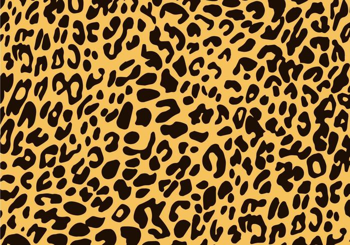 700x490 Leopard Animal Print Vector Texture