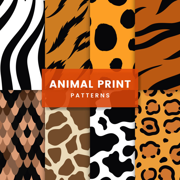 626x626 Set Of Seamless Animal Print Pattern Vectors