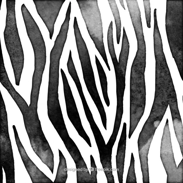 626x626 Zebra Animal Print Vector Free Download