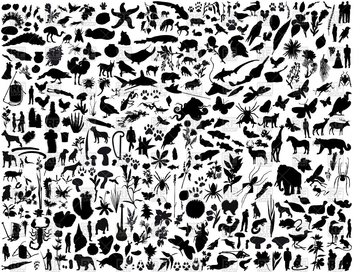 1200x927 Collage Of Animal Silhouettes Vector Image Of Plants And Animals