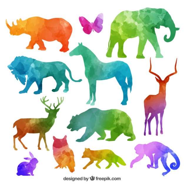 626x626 Colorful Animal Silhouettes Collection Vector Free Download