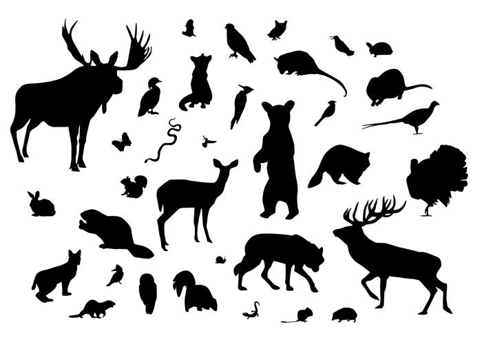 700x490 Forest Animal Silhouettes