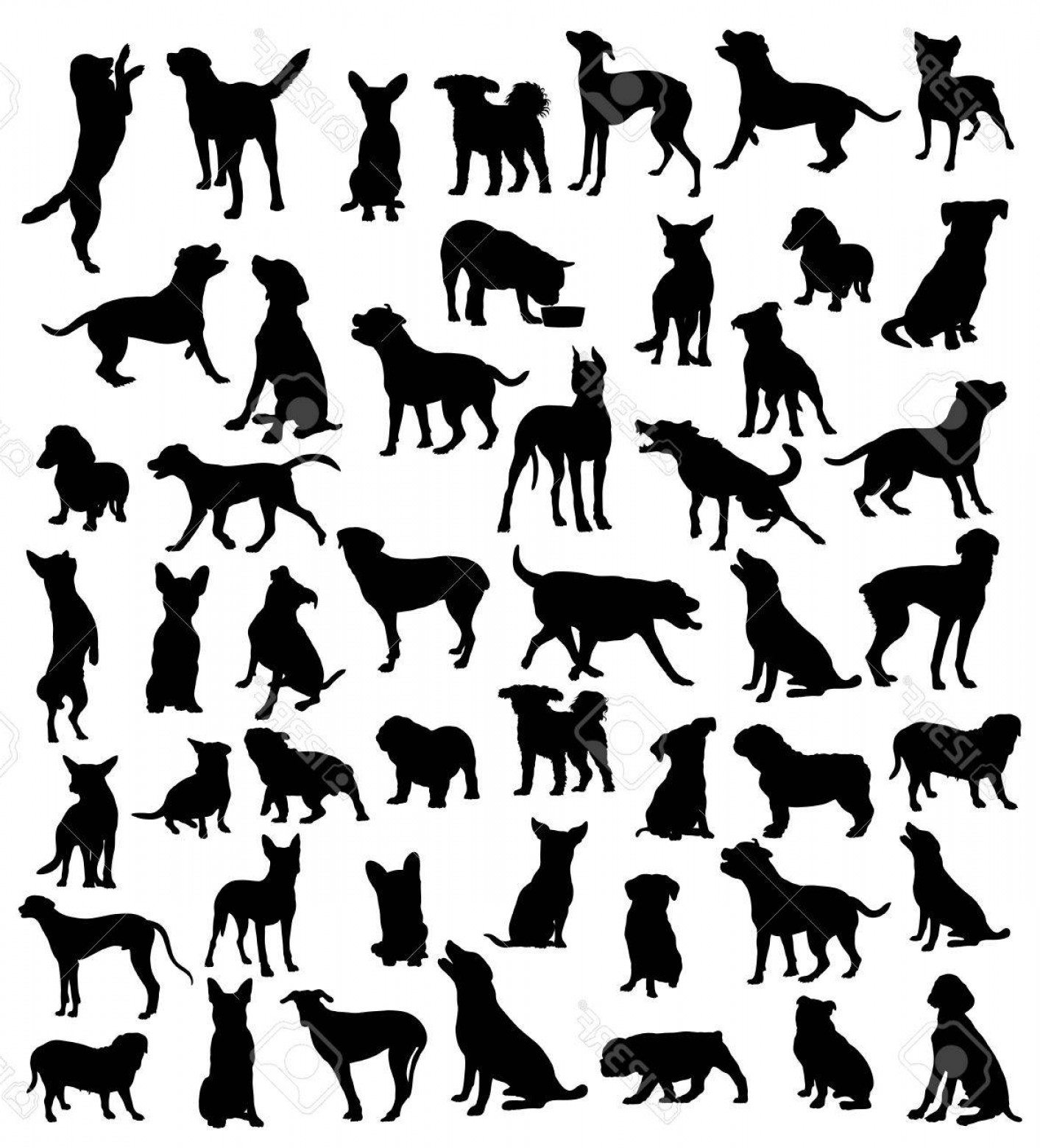 1413x1560 Photostock Vector Pet Animal Silhouettes Art Vector Design