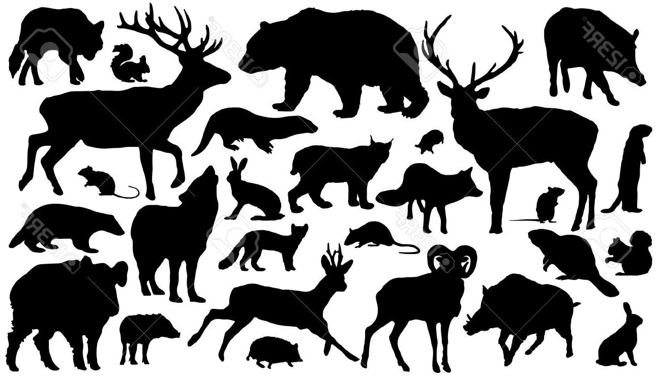 1300x742 Top Forest Animal Silhouettes Pictures Free Vector Art, Images