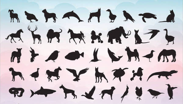 600x340 Animal Silhouettes