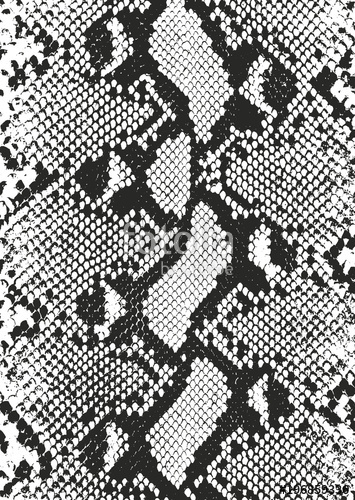 355x500 Distressed Overlay Animal Skin Texture Stock Image And Royalty