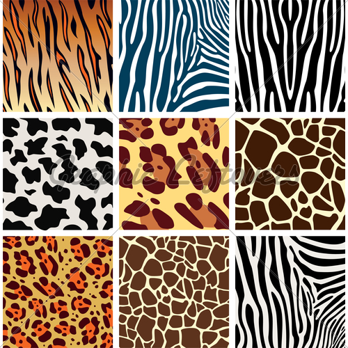 500x500 Vector Animal Skin Textures Gl Stock Images