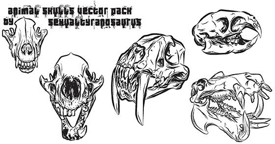 560x293 Animal Skulls Vector Pack Free Vector In Adobe Illustrator