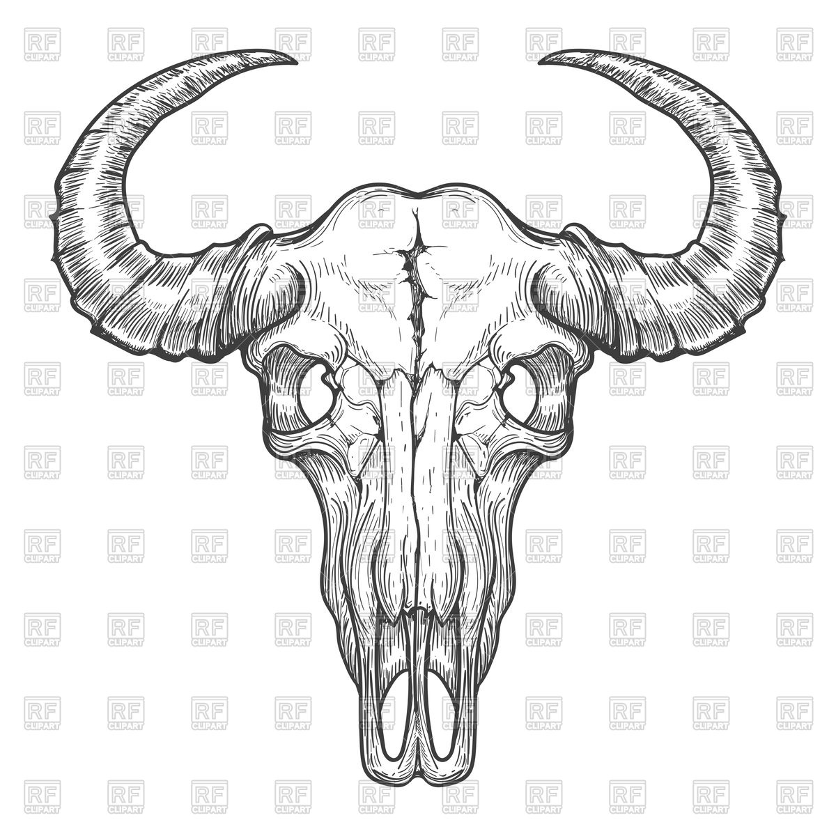 1200x1200 Buffalo Skull