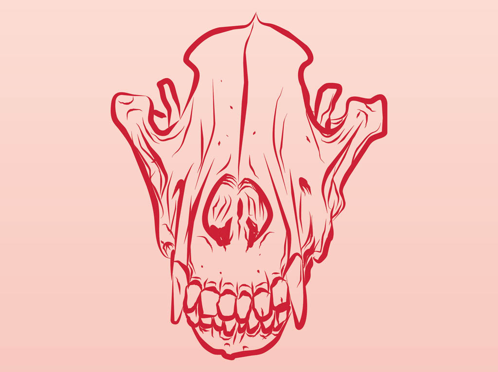 1024x765 Dead Animal Skull Vector Art Graphics