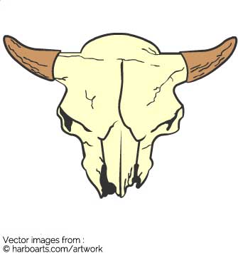 335x355 Download Animal Skull