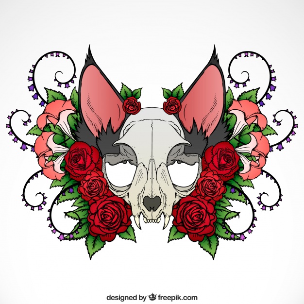 626x626 Download Vector