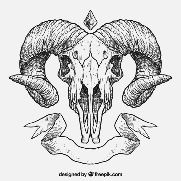 626x626 Hand Drawn Animal Skull Vector Premium Download