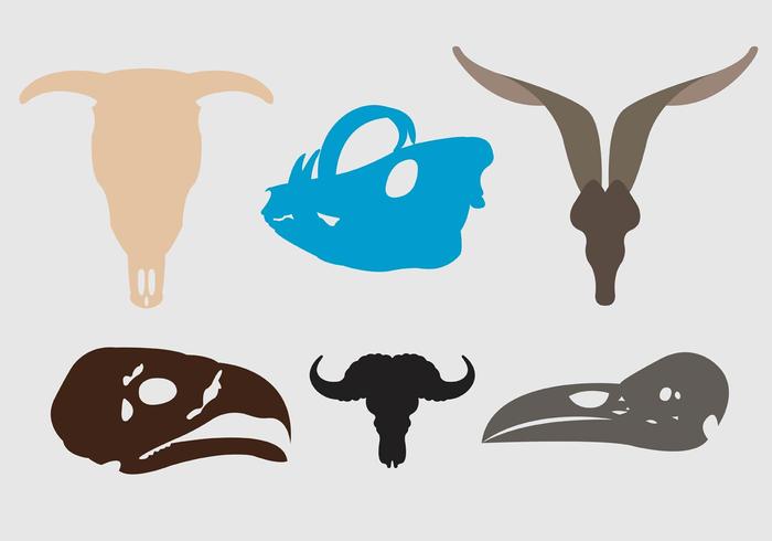 700x490 Set Of Animal Skull Silhouettes