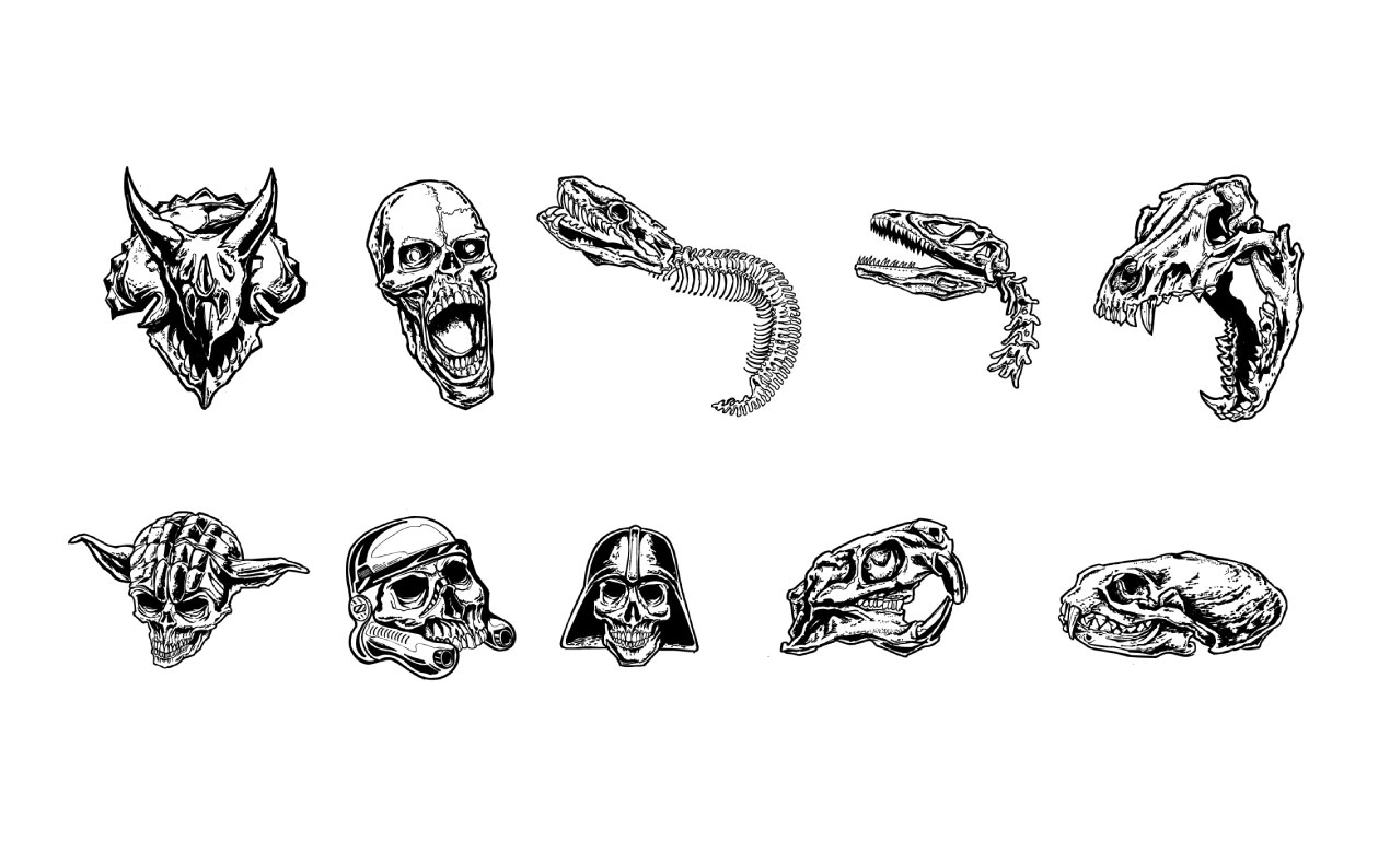 1270x770 Steve Knerem's Skull Vector Pack For Go Media