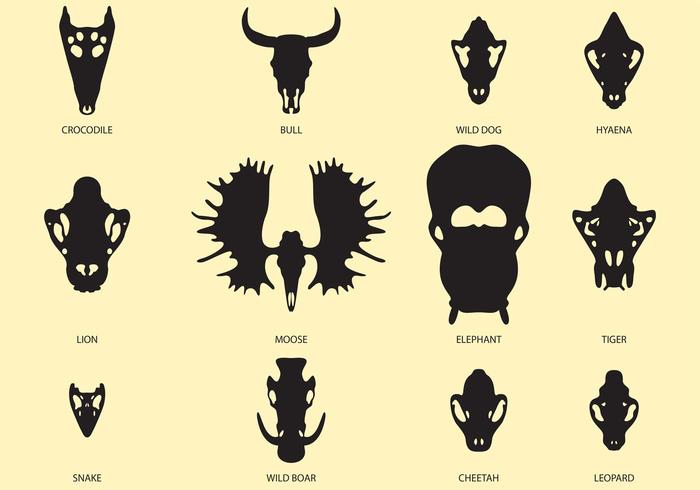 700x490 Vector Animal Skulls