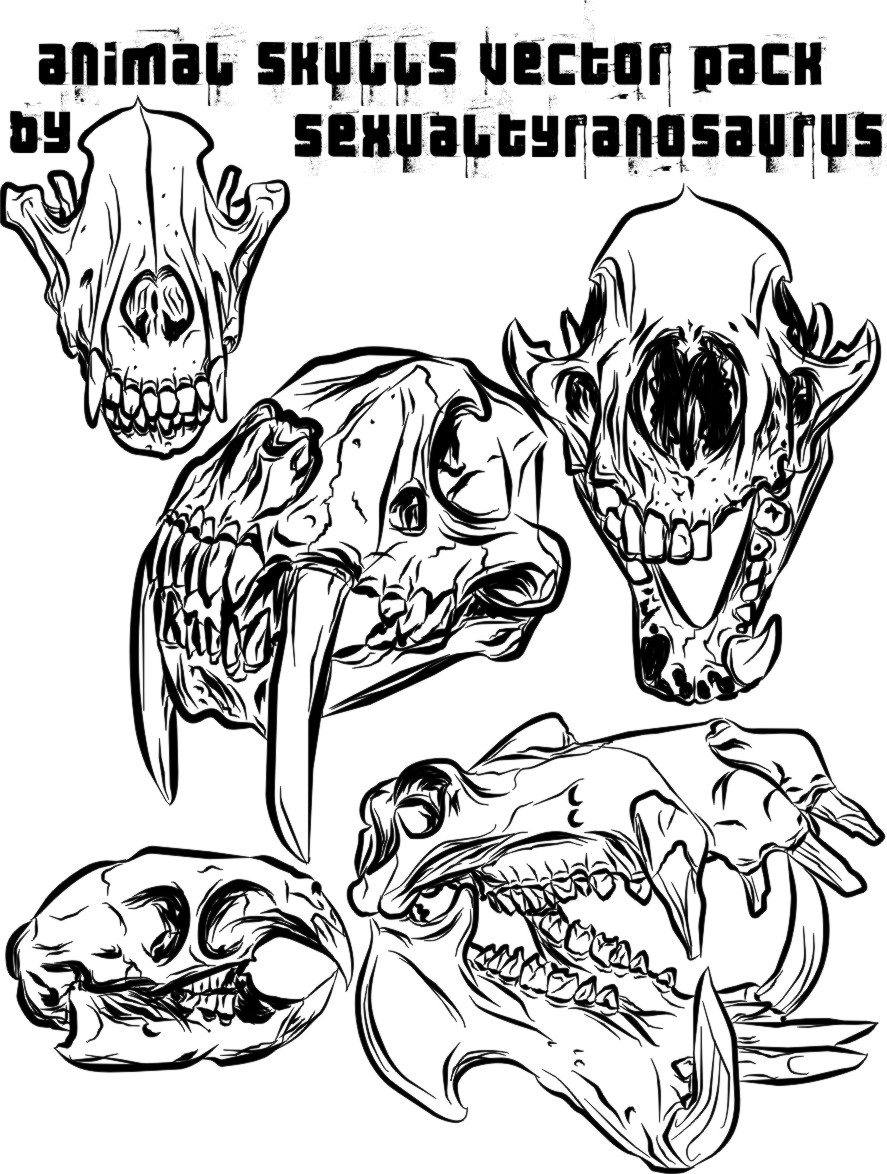 887x1174 Animal Skull Vector Pack