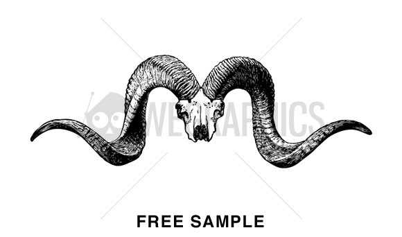 580x342 Animal Skull Vector Clip Arts, Free Clipart
