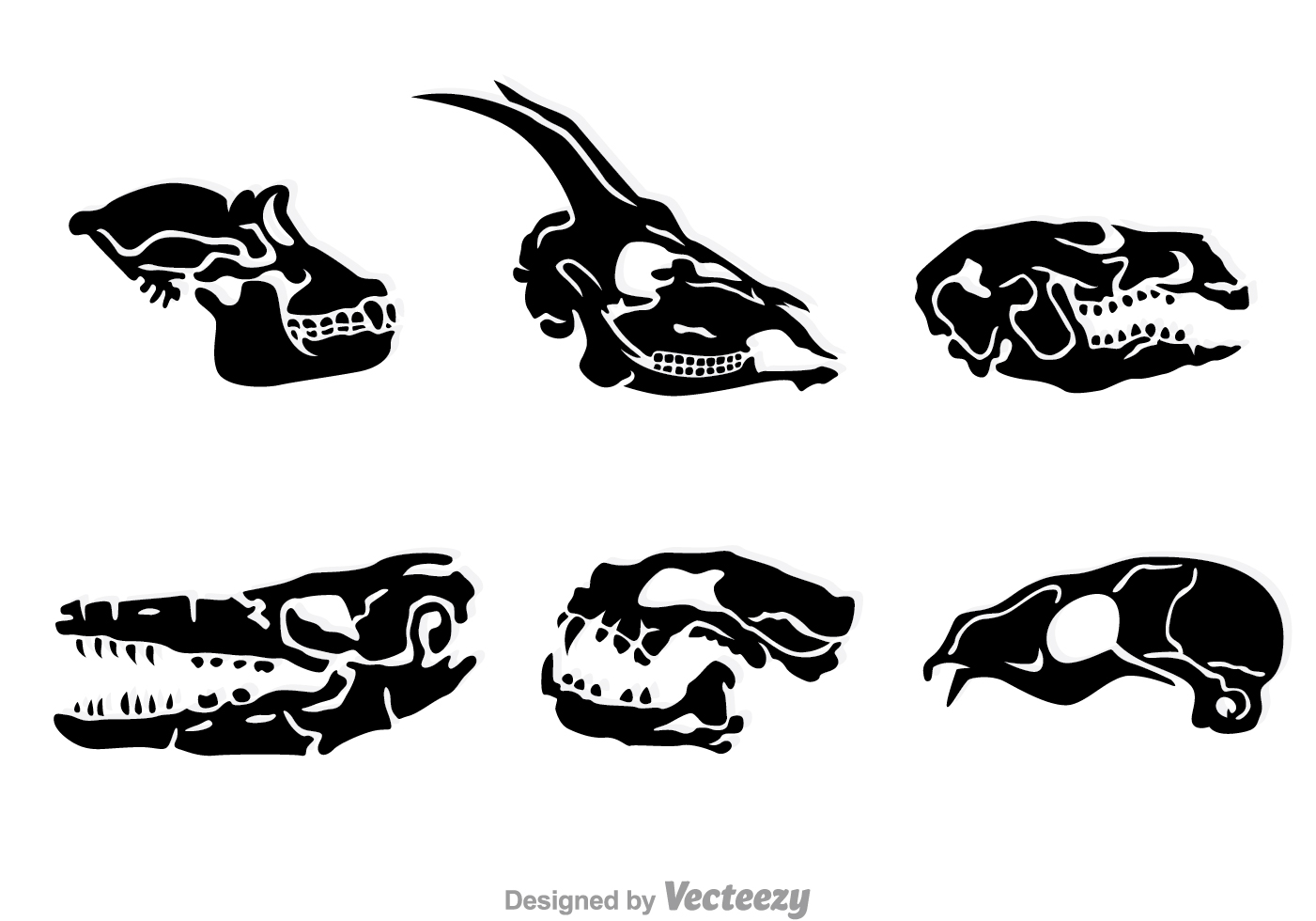 1401x980 Animal Skulls Free Vector Art