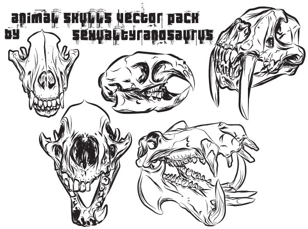 600x447 Animal Skulls Vector Pack Download Free Vector Art Free Vectors